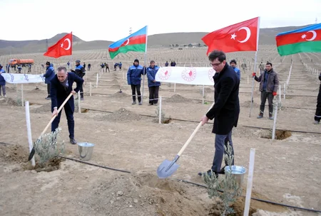 111,111 tries to be planted on November 11