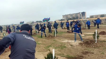 Сотрудники Азерэнержи присоединились к акции по посадке деревьев