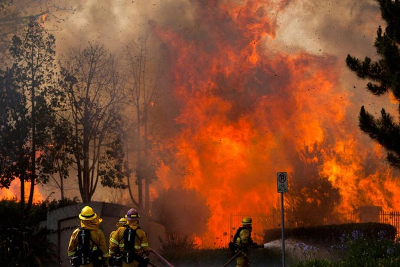 Regions affected by wildfires declared disaster areas in Turkey