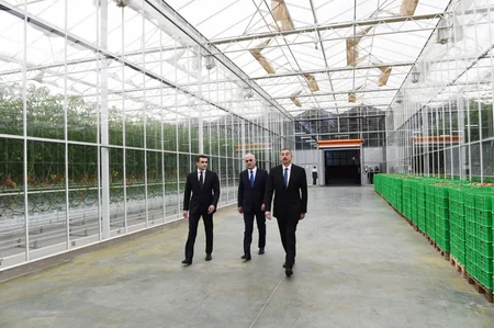 Prezident İlham Əliyev Zirə qəsəbəsində “BAKU AGROPARK”da görülən işlərlə tanış olub
