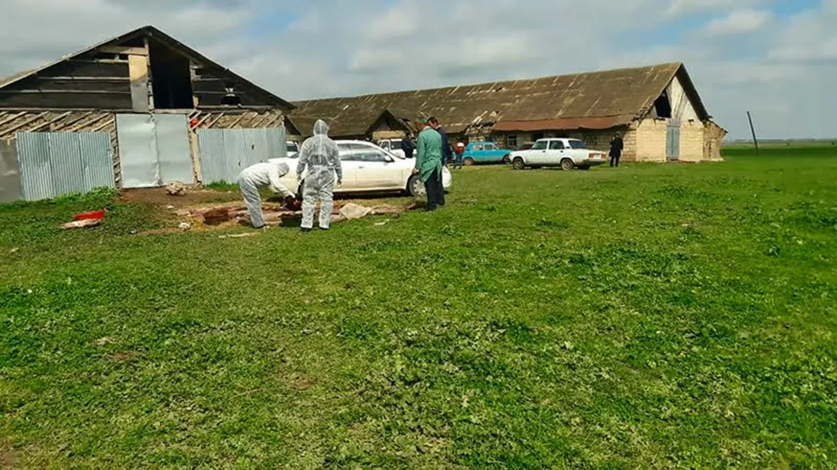 Cəlilabadın Maşlıq kəndində qanunsuz at kəsimi və at əti tədarükü ilə məşğul olanlar aşkarlanıb