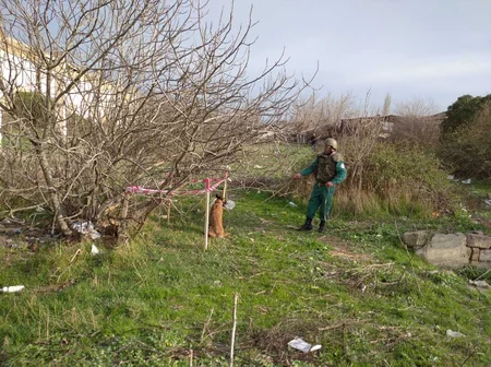 Horadizdə minaatan mərmi tapıldı - FOTO