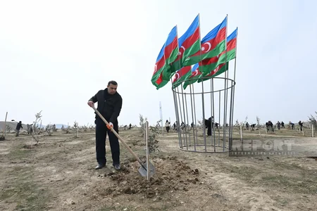 Проведена акция по высадке деревьев по случаю 100-летнего юбилея Гейдара Алиева