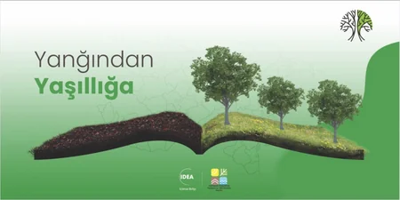 Meşələrin bərpası üzrə “Yanğından yaşıllığa” kampaniyasına start verilib