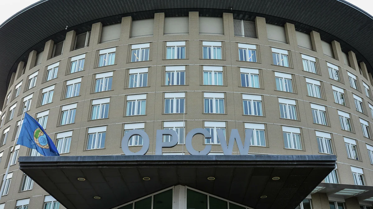 Делегации Евросоюза покинули зал ОЗХО при выступлении представителей РФ