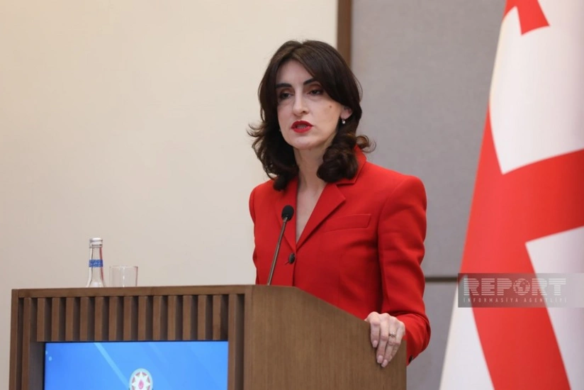 Глава МИД Грузии: Азербайджан является нашим важным партнером