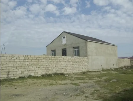 Asan qazanc hərisliyi COVID-19-dan daha yaşlı və qorxuludur - ARAŞDIRMA