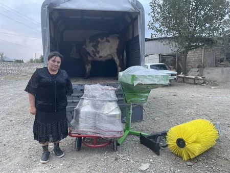 Bir qrup şəhid ailəsi və müharibə veteranı üçün heyvandarlıq təsərrüfatları yaradılıb