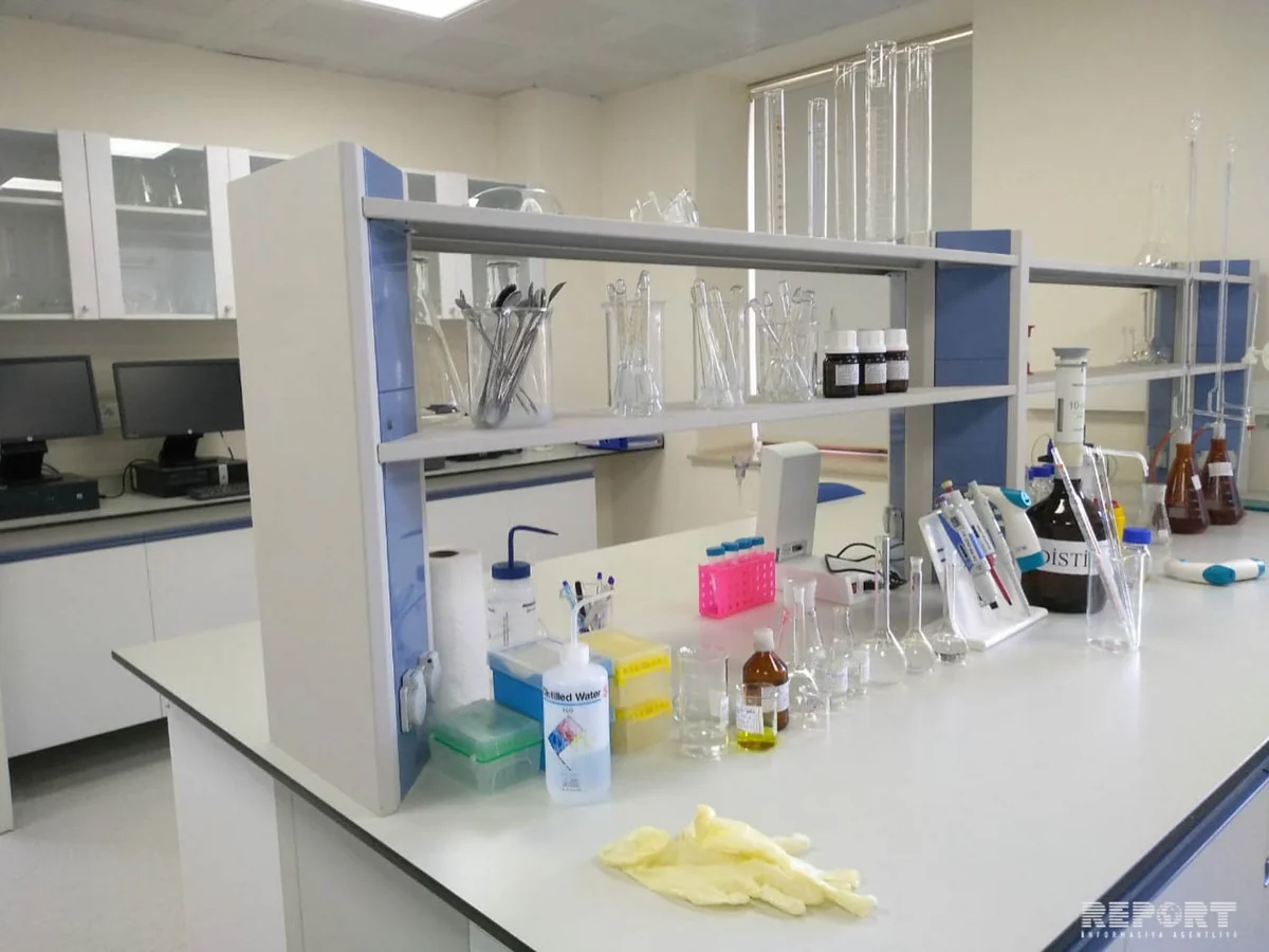 Qida Təhlükəsizliyi İnstitutunun Kompleks Tədqiqatlar Laboratoriyasına infotur təşkil olunub - FOTO