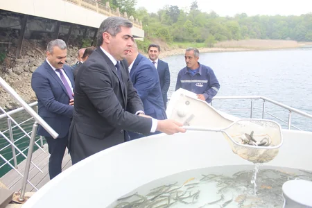Göygöldə ağacəkmə aksiyası və balıq buraxılışı həyata keçirilib