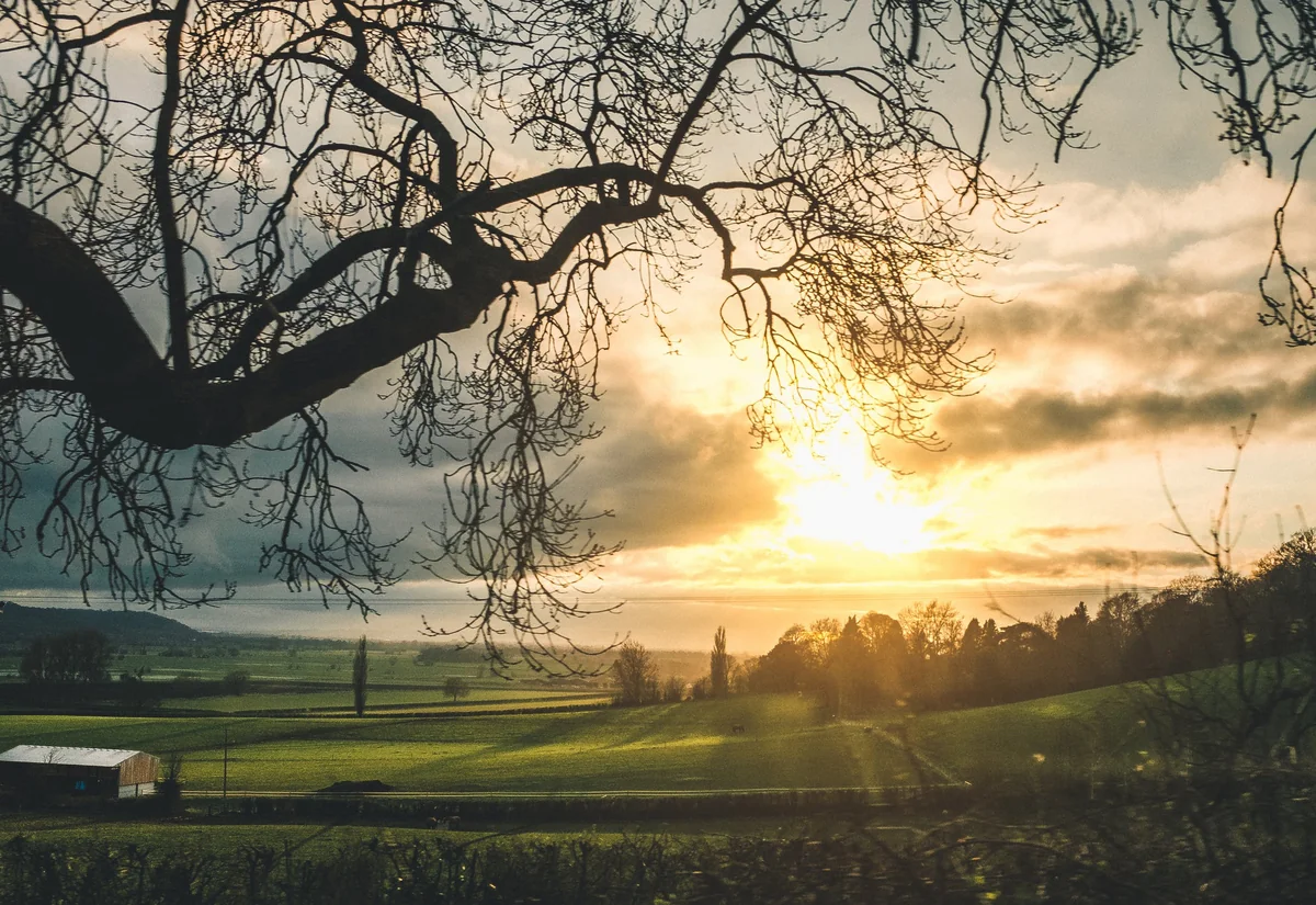 Weather forecast for February 1 unveiled