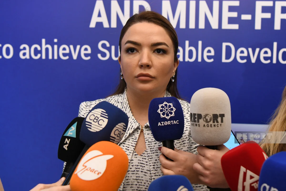 More than 60 countries suffering from mine terrorism and unexploded ordnance