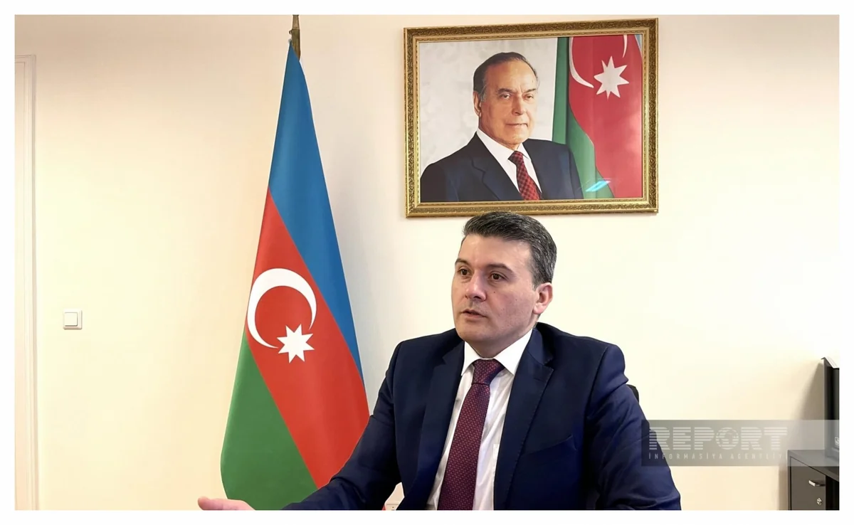 Насими Агаев: Не все проживающие в Германии граждане Азербайджана встают на консульский учет