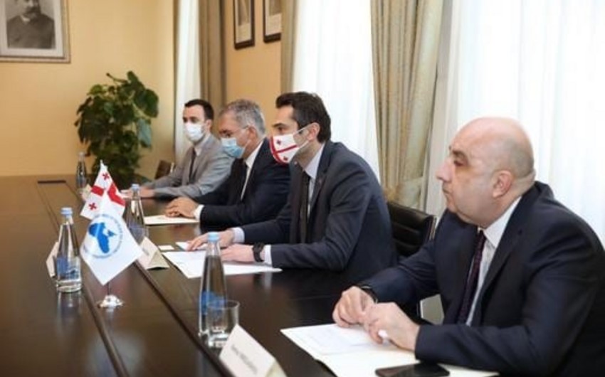 QDİƏT PA və Gürcüstan arasında əməkdaşlıq müzakirə olunub