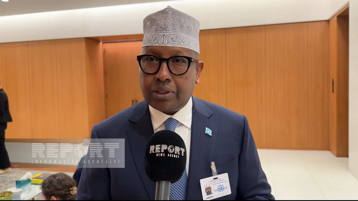 Somali FM: 'We are glad Azerbaijan liberated its historical lands from occupation'