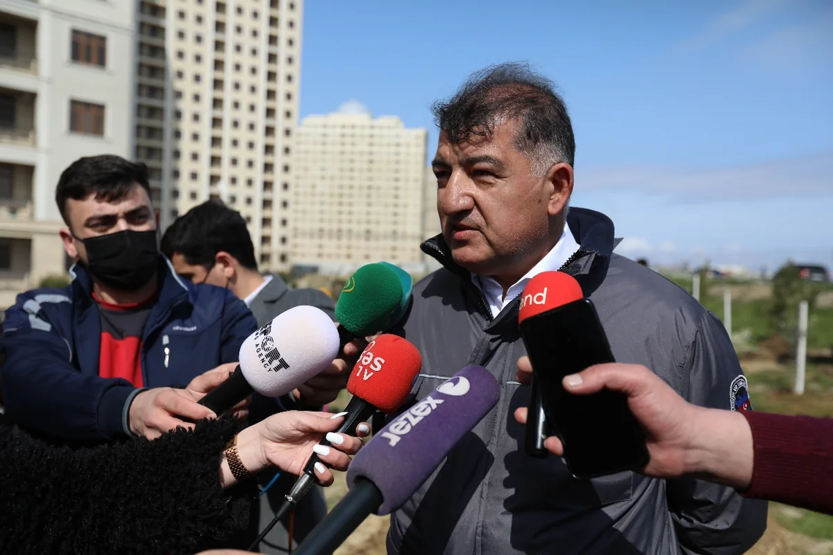 Nazir müavini ağacəkmə aksiyasından danışıb