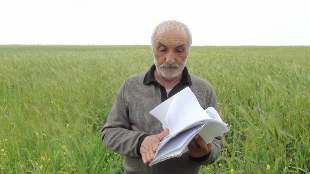 Biləsuvarda torpaqları alınan ailələrin Prezidentə müraciəti nəzarətə götürüldü - FOTO