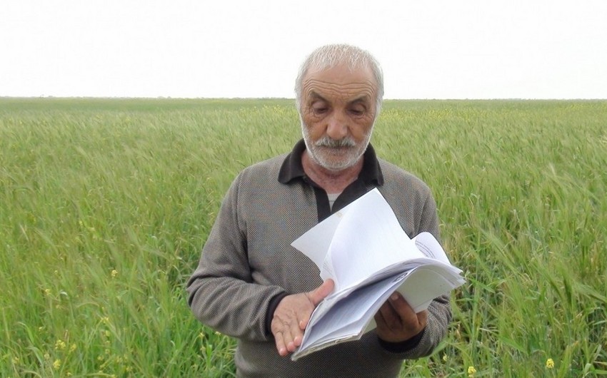Biləsuvarda torpaqları alınan ailələrin Prezidentə müraciəti nəzarətə götürüldü - FOTO