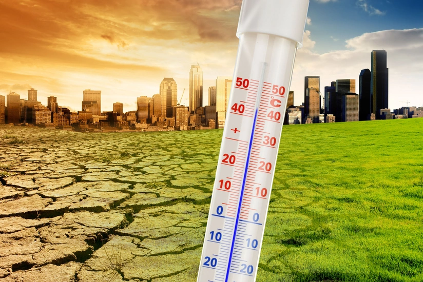 Research: Climate warming can lead to domino effect