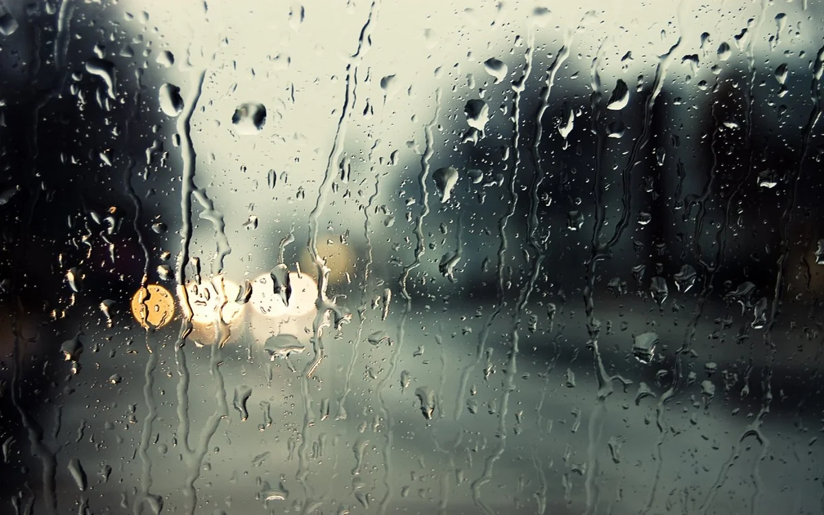 Rainy weather expected on January 28