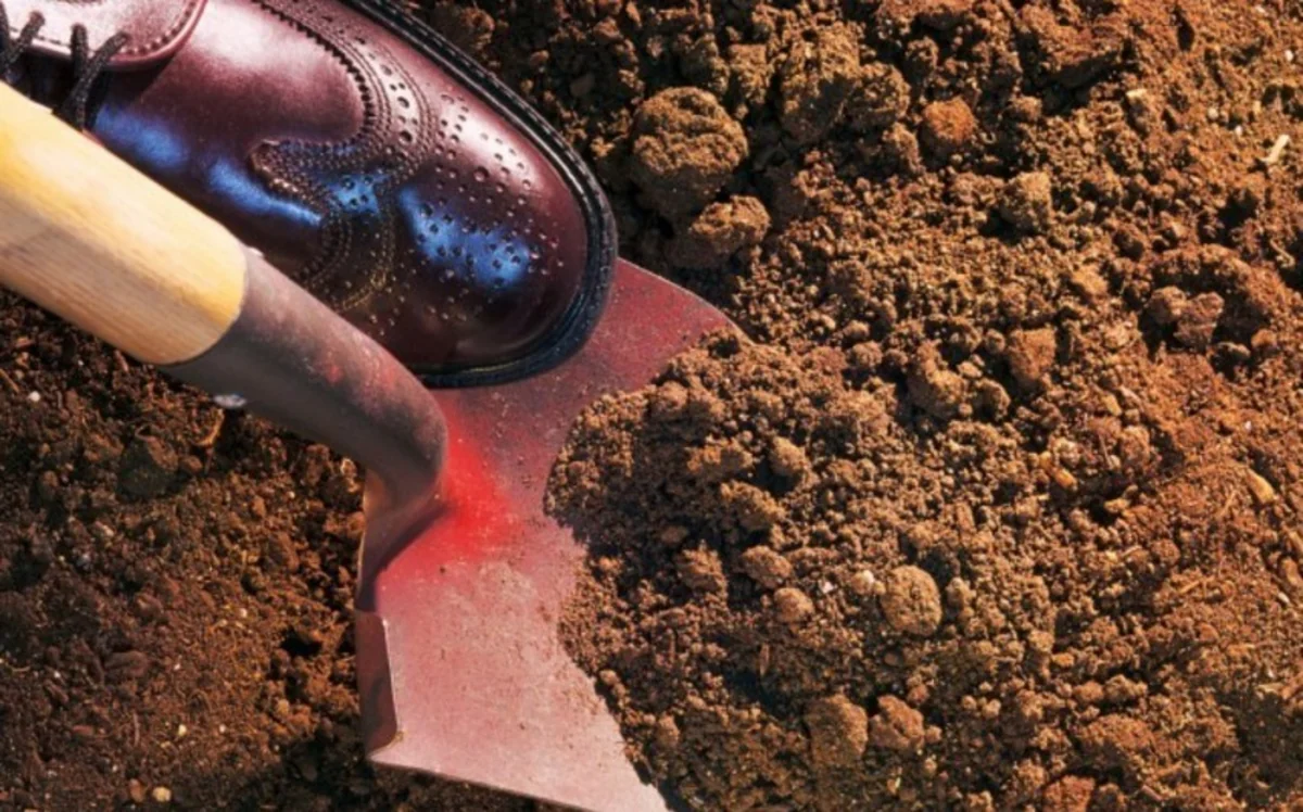 İtkin düşən taksi sürücüsünün öldürülərək basdırıldığı məlum olub