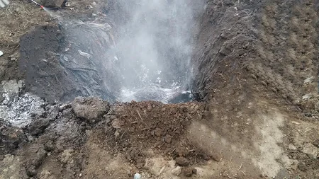 Masallıda 400 kq yararsız heyvan əti aşkarlanıb