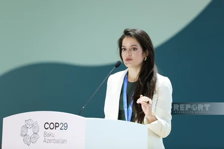 Parlament Görüşünün ikinci günündə iqlim dəyişikliyi ilə mübarizədə texnologiyadan istifadənin perspektivləri müzakirə edilib