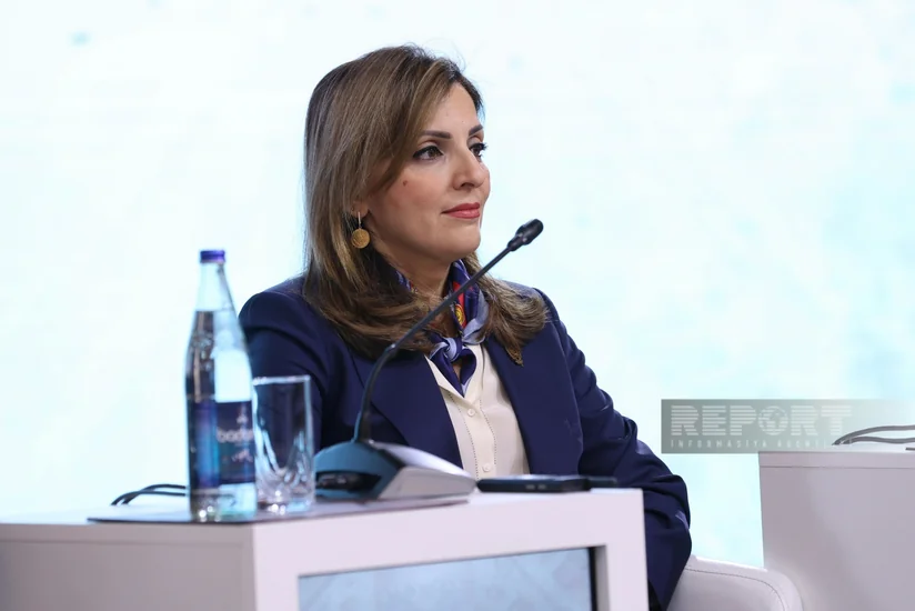 Azərbaycanda bəzi abidələr düzgün bərpa olunmayıb