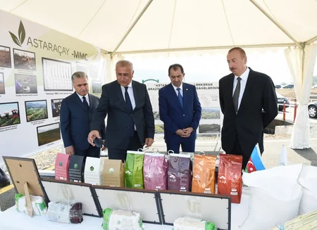 Prezident İlham Əliyev Lənkəranda “Astara Çay” MMC-nin çay plantasiyalarına baxıb