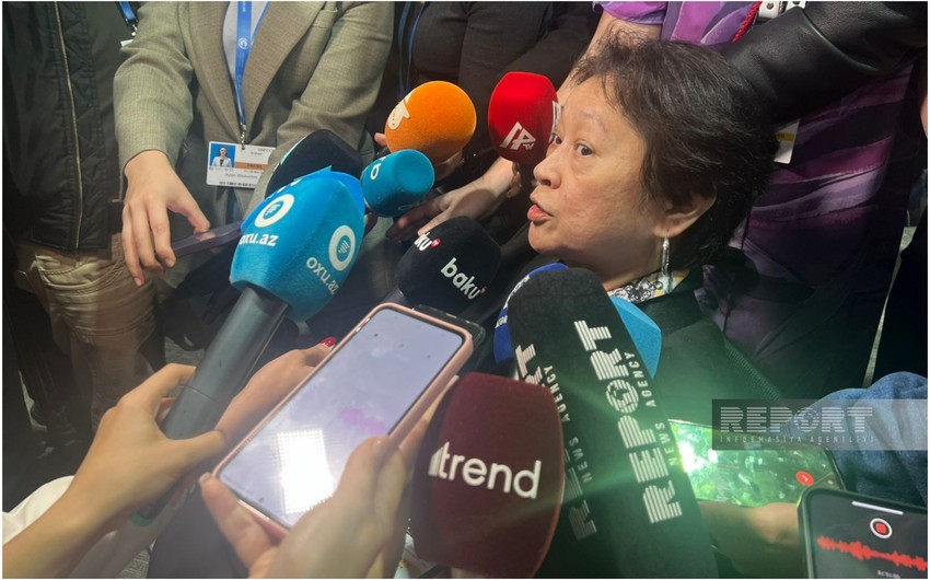 Lidi Nakpil: İnkişaf etmiş ölkələrin iqlim maliyyələşməsi üzrə təklifi qəbuledilməzdir