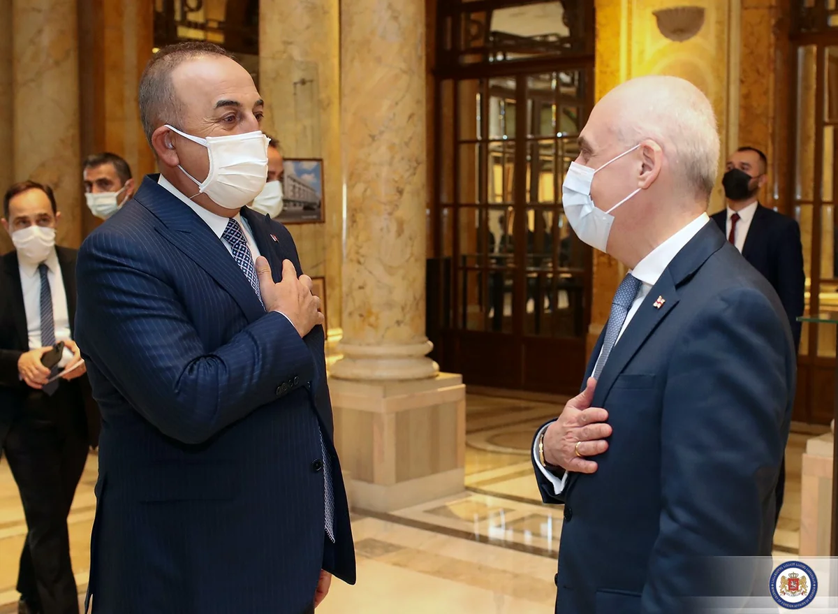 Georgia notes importance of Turkey's support