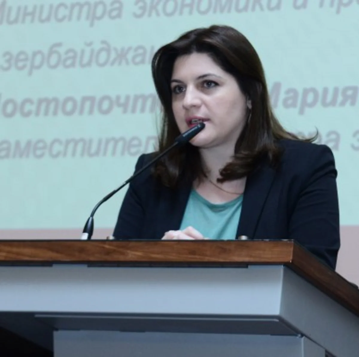 Energetika nazirinin müavini: Gürcüstana qazın 92%-i Azərbaycandan nəql olunur