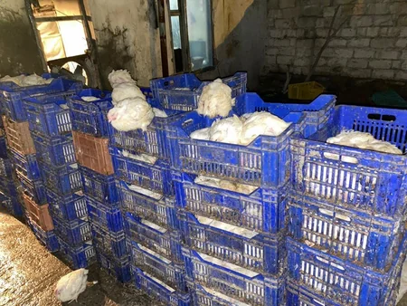 АПБА ограничила деятельность птицеперерабатывающего предприятия
