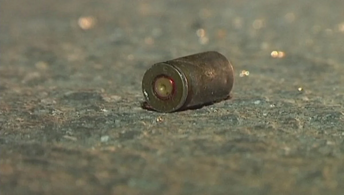 Malidə naməlum şəxslər restorana hücum edib, 5 ölü, 8 yaralı