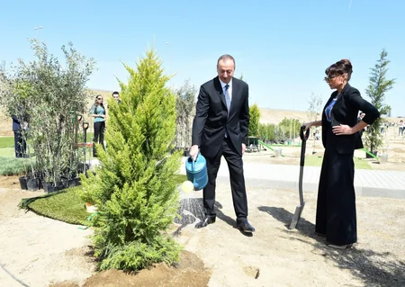 Президент Азербайджана принял участие в кампании по посадке деревьев, посвященной дню рождения общенационального лидера