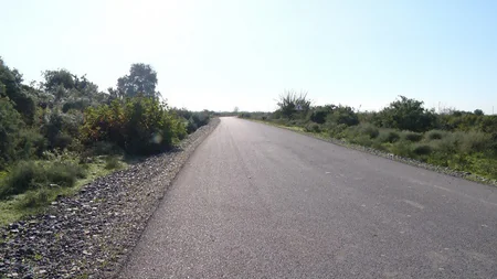 Sabirabadda 43 km-lik yol tikilir