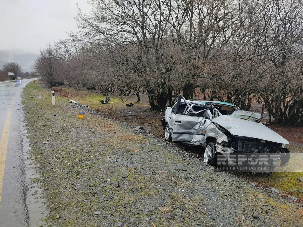 Qaxda minik avtomobili ağaca çırpılıb, iki qardaş xəsarət alıb