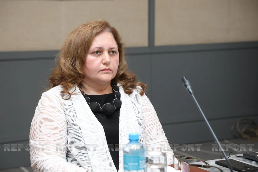 Aynur Sofiyeva: Uşaqların zorla himayəyə verilməsi hallarına rast gəlinir