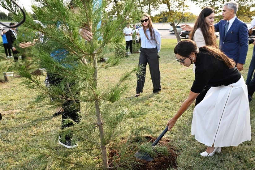 Mehriban Əliyevanın iştirakı ilə “Gənclik” parkında ağacəkmə aksiyası keçirilib