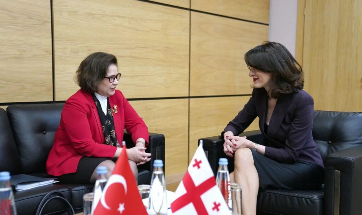 Gürcüstan və Türkiyə XİN-ləri arasında siyasi məsləhətləşmələr aparılıb