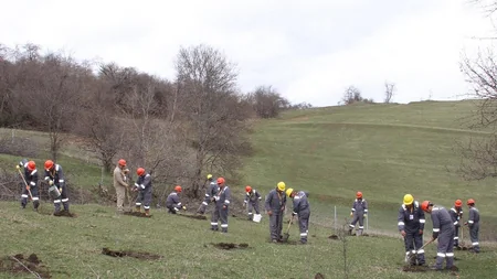 “AzerGold” QSC 10 may- Gül bayramı münasibətilə 10 hektar ərazini yaşıllaşdırıb