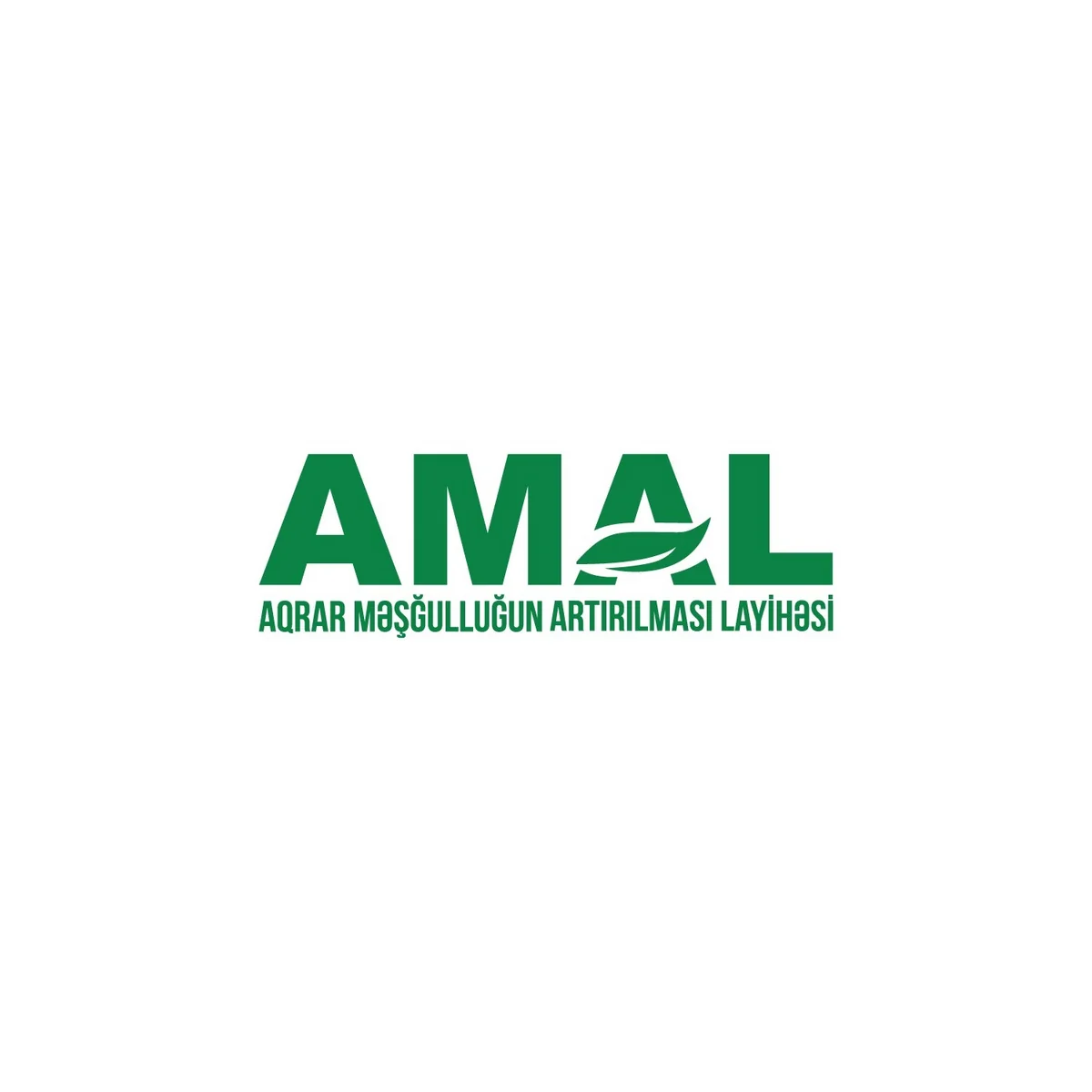 AMAL Akademiyasının Yay Məktəbinə qeydiyyat başlayır