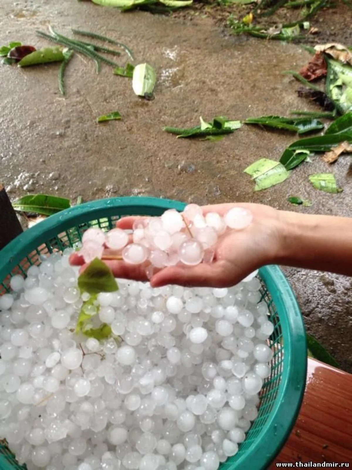 Град в Таиланде повредил 1200 домов