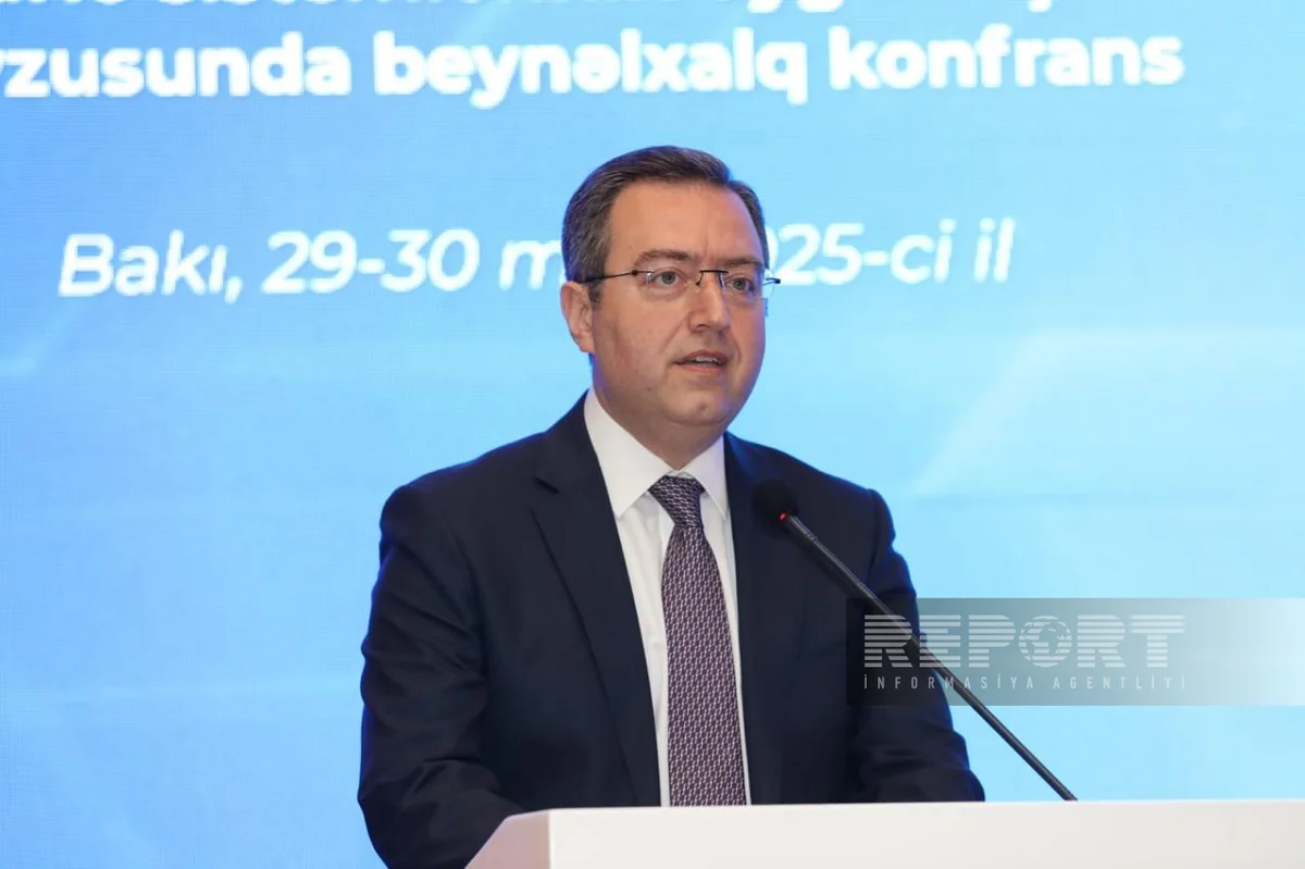İƏT Əmək Mərkəzinin rəhbəri: Sosial müdafiə sahəsində inklüzivliyə can atılmalıdır