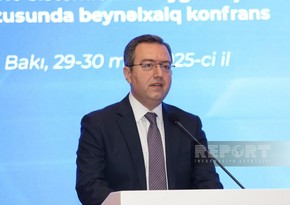 İƏT Əmək Mərkəzinin rəhbəri: Sosial müdafiə sahəsində inklüzivliyə can atılmalıdır