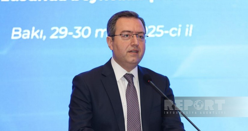 Head of OIC Labor Center: Inclusivity should be pursued in social protection field