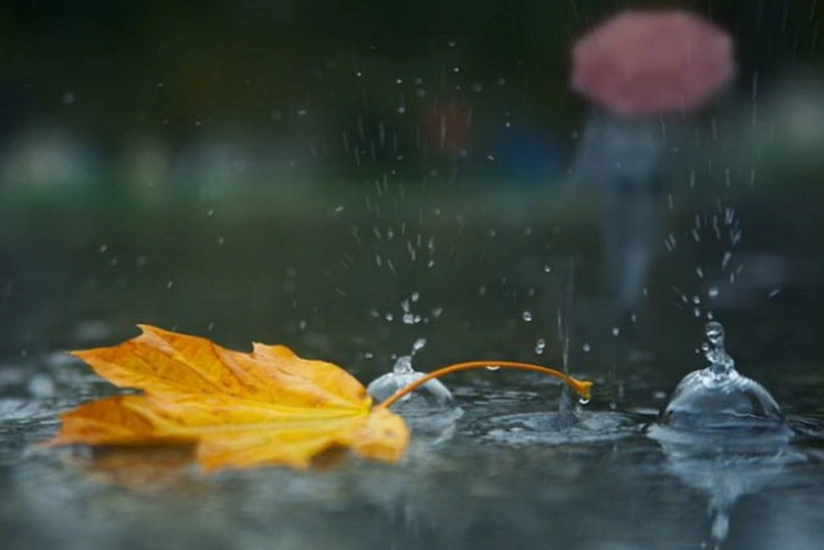 Ecologists predict heavy rain in Azerbaijan