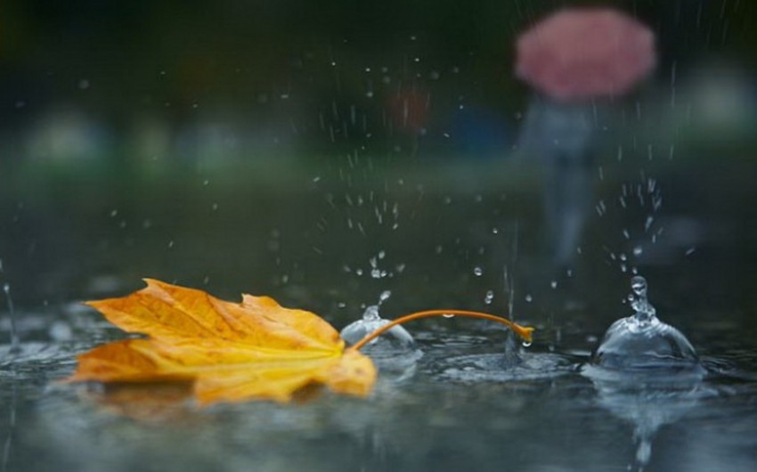 Ecologists predict heavy rain in Azerbaijan