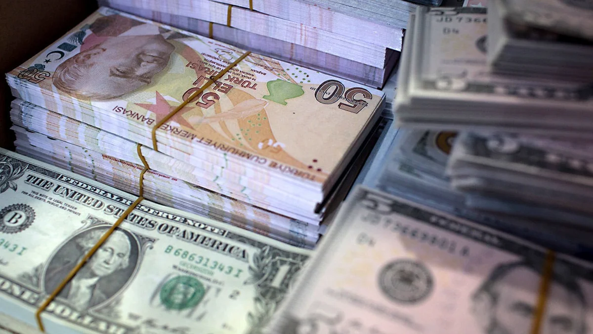 “Petkim”ə 364 mln. lirə investisiya qoyulub