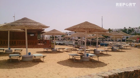 Qırmızı dəniz sahilindəki ecazkar və nadir gülləri ilə məşhur şəhərdən - REPORTAJ